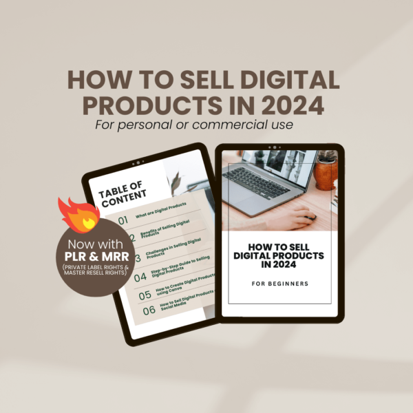 How to Sell Digital Products Step-by-Step Guide with PLR/MRR